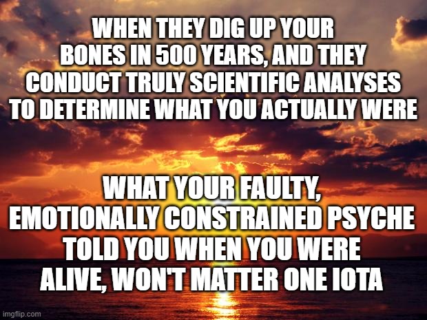 Sunset | WHEN THEY DIG UP YOUR BONES IN 500 YEARS, AND THEY CONDUCT TRULY SCIENTIFIC ANALYSES TO DETERMINE WHAT YOU ACTUALLY WERE; WHAT YOUR FAULTY, EMOTIONALLY CONSTRAINED PSYCHE TOLD YOU WHEN YOU WERE ALIVE, WON'T MATTER ONE IOTA | image tagged in sunset | made w/ Imgflip meme maker