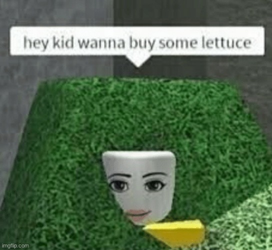 lettuce | image tagged in meme | made w/ Imgflip meme maker