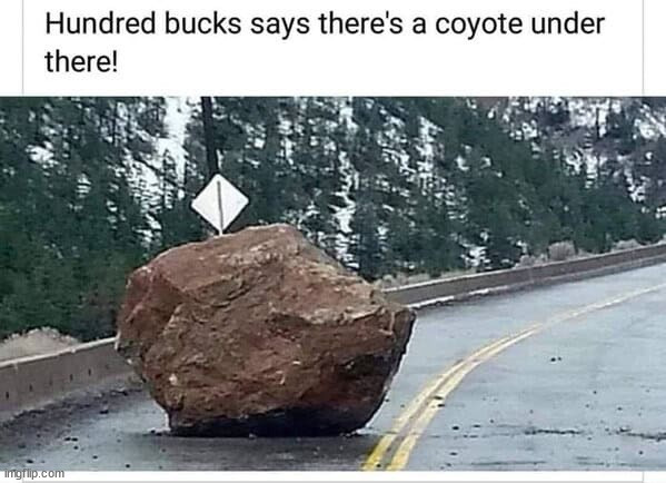 Beep beep... | image tagged in memes,roadrunner,coyote | made w/ Imgflip meme maker