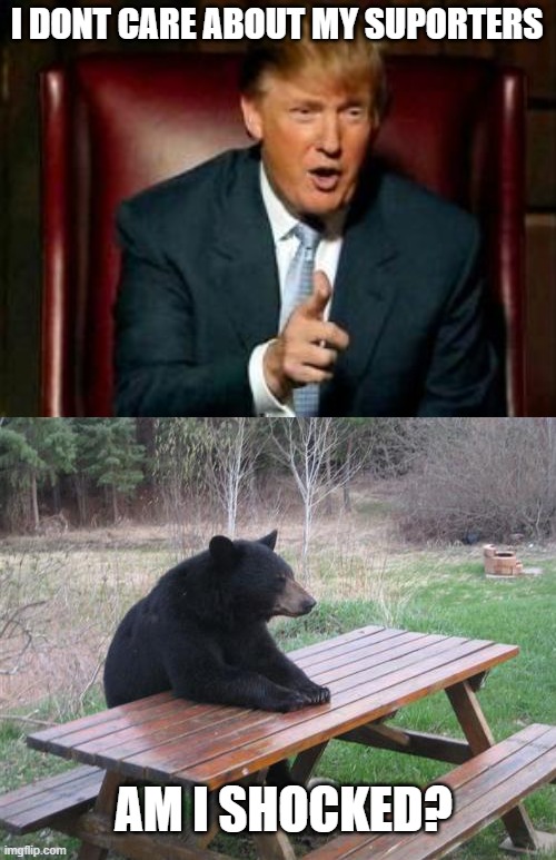 Im not suprised about that | I DONT CARE ABOUT MY SUPORTERS; AM I SHOCKED? | image tagged in donald trump,memes,bad luck bear | made w/ Imgflip meme maker