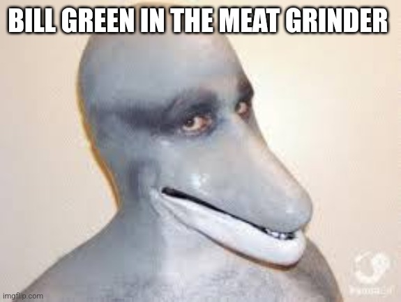 Dolphin Guy | BILL GREEN IN THE MEAT GRINDER | image tagged in dolphin guy | made w/ Imgflip meme maker
