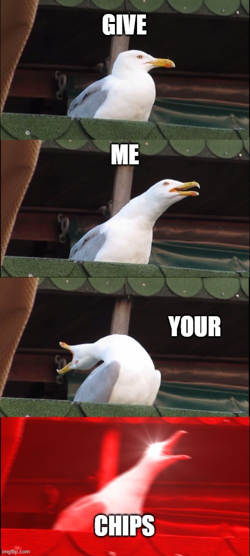 He wants fries too | GIVE; ME; YOUR; CHIPS | image tagged in memes,inhaling seagull | made w/ Imgflip meme maker