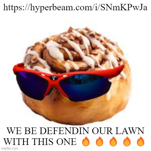 cool ass cinnamon bun | https://hyperbeam.com/i/SNmKPwJa; WE BE DEFENDIN OUR LAWN WITH THIS ONE 🔥🔥🔥🔥🔥 | image tagged in cool ass cinnamon bun | made w/ Imgflip meme maker