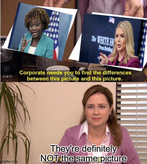 They're The Same Picture | They're definitely NOT the same picture | image tagged in memes,they're the same picture | made w/ Imgflip meme maker