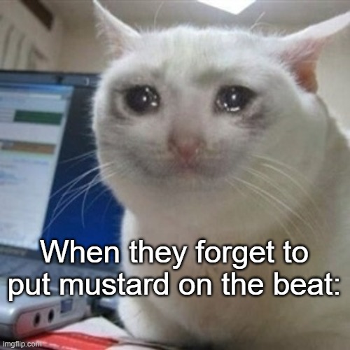 Crying cat | When they forget to put mustard on the beat: | image tagged in crying cat | made w/ Imgflip meme maker