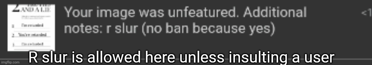R slur is allowed here unless insulting a user | made w/ Imgflip meme maker