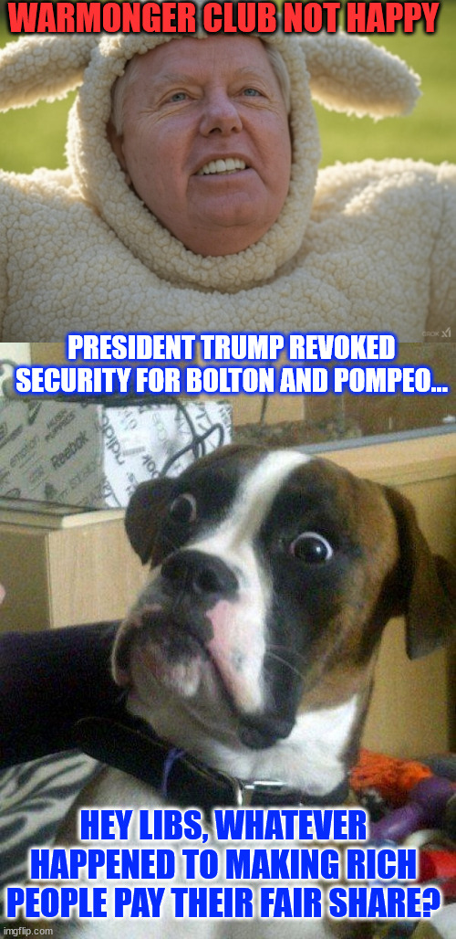 These people made a lot of money from being in the government | WARMONGER CLUB NOT HAPPY; PRESIDENT TRUMP REVOKED SECURITY FOR BOLTON AND POMPEO... HEY LIBS, WHATEVER HAPPENED TO MAKING RICH PEOPLE PAY THEIR FAIR SHARE? | image tagged in blankie the shocked dog,they can afford their own security | made w/ Imgflip meme maker