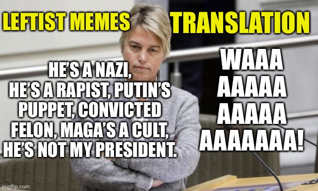 The left needs new material. | WAAA AAAAA AAAAA AAAAAAA! LEFTIST MEMES; TRANSLATION; HE’S A NAZI, HE’S A RAPIST, PUTIN’S PUPPET, CONVICTED FELON, MAGA’S A CULT, HE’S NOT MY PRESIDENT. | image tagged in what i said is wrong but i didn't lie | made w/ Imgflip meme maker