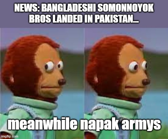 napak army memes | NEWS: BANGLADESHI SOMONNOYOK BROS LANDED IN PAKISTAN... meanwhile napak armys | image tagged in bear looking sideways | made w/ Imgflip meme maker