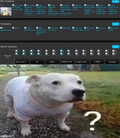 image tagged in dog question mark | made w/ Imgflip meme maker