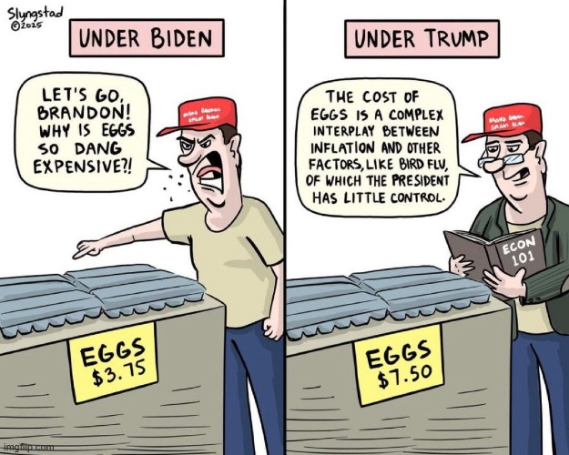 The memory hole is wide and deep | image tagged in maga,eggs,trump | made w/ Imgflip meme maker