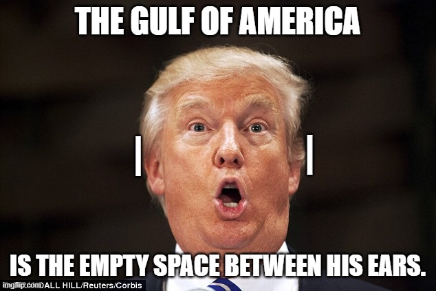 New discovery! | THE GULF OF AMERICA; |; |; IS THE EMPTY SPACE BETWEEN HIS EARS. | image tagged in trump stupid face,gulf of america | made w/ Imgflip meme maker