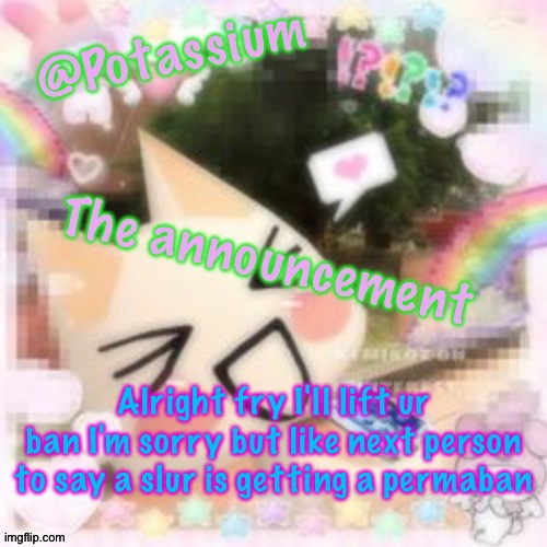I'll speak with Andrew afterwards | Alright fry I'll lift ur ban I'm sorry but like next person to say a slur is getting a permaban | image tagged in potassium's sillycore template | made w/ Imgflip meme maker