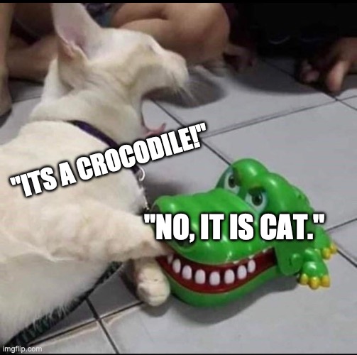 "ITS A CROCODILE!" "NO, IT IS CAT." | image tagged in cat bitten by toy alligator | made w/ Imgflip meme maker