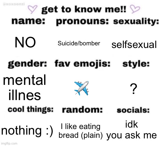 Idk | NO; Suicide/bomber; selfsexual; ✈️; ? mental illnes; idk you ask me; I like eating bread (plain); nothing :) | image tagged in get to know me but better | made w/ Imgflip meme maker