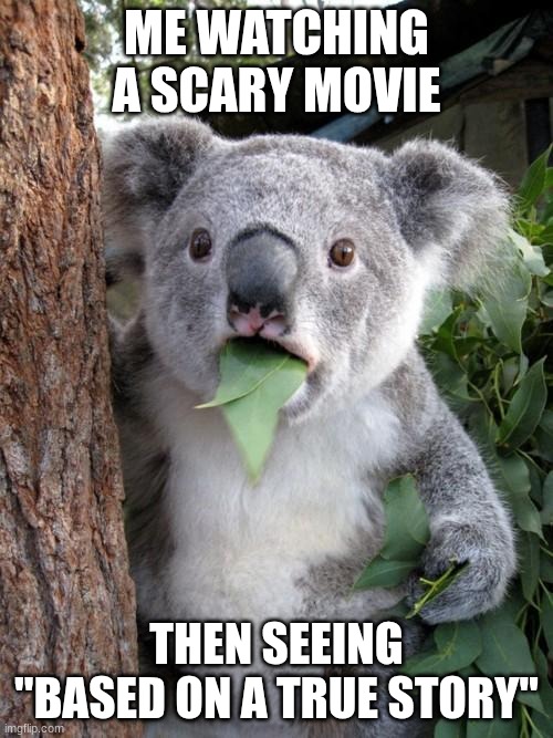 Scariest feeling | ME WATCHING A SCARY MOVIE; THEN SEEING "BASED ON A TRUE STORY" | image tagged in memes,surprised koala | made w/ Imgflip meme maker