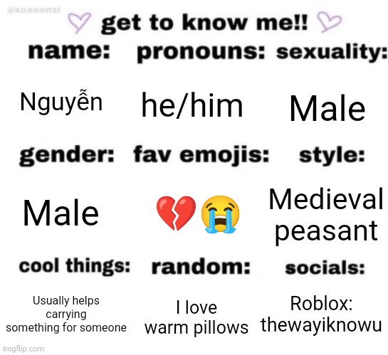 I'll just use my first name instead | Nguyễn; he/him; Male; 💔😭; Medieval peasant; Male; Roblox: thewayiknowu; I love warm pillows; Usually helps carrying something for someone | image tagged in get to know me but better,memes,msmg | made w/ Imgflip meme maker