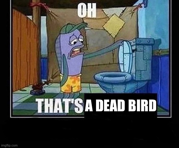 Oh that’s | A DEAD BIRD | image tagged in oh that s | made w/ Imgflip meme maker