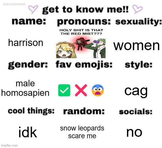get to know me but better | harrison; women; cag; male homosapien; ✅❌😨; no; snow leopards scare me; idk | image tagged in get to know me but better | made w/ Imgflip meme maker