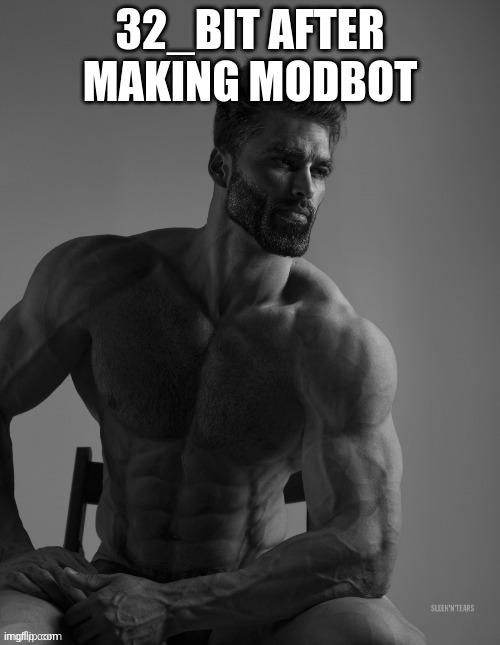 32_BIT AFTER MAKING MODBOT | made w/ Imgflip meme maker