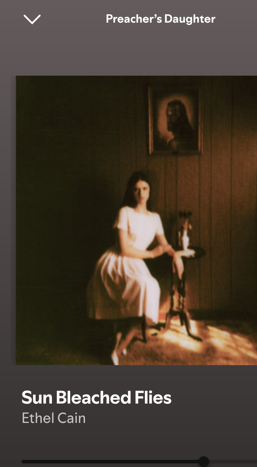 Ethel Cain. Blank Meme Template