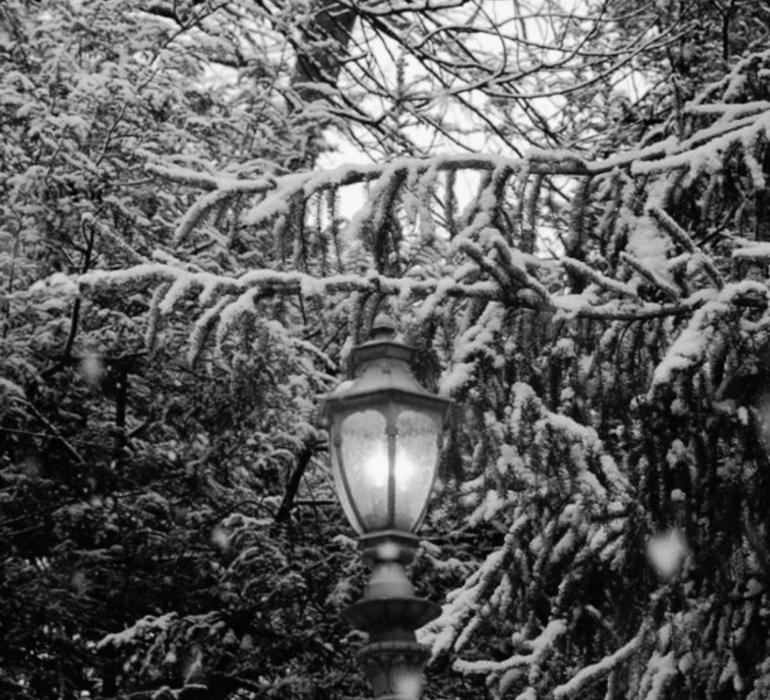 Streetlight in Winter. Blank Meme Template