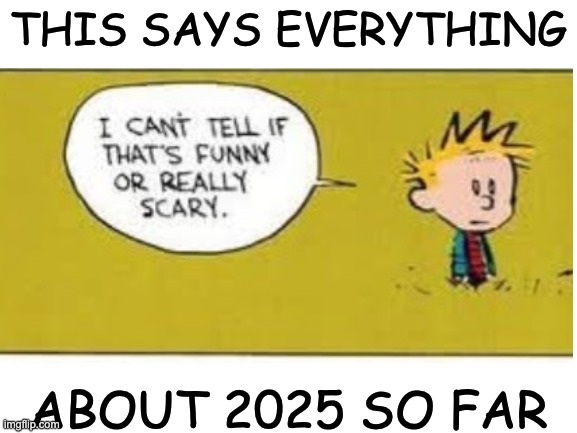 The Funny or Scary template: the only one you'll need for the rest of 47 | THIS SAYS EVERYTHING; ABOUT 2025 SO FAR | image tagged in funny,scary,memes,politics,trump | made w/ Imgflip meme maker