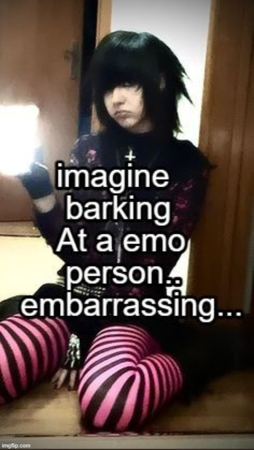 yo gemini describe this | made w/ Imgflip meme maker