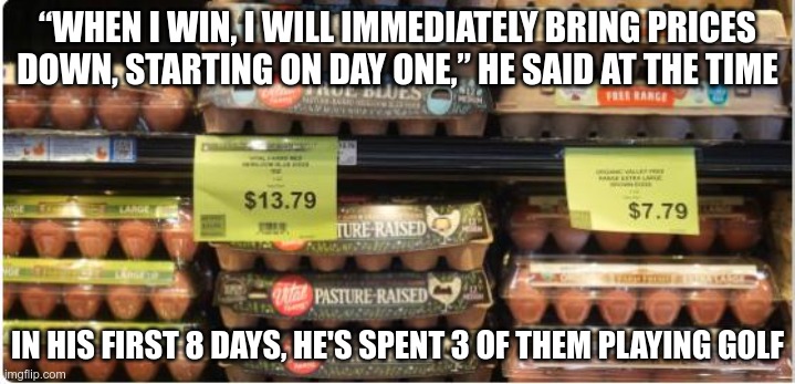 He Lied,... Again | “WHEN I WIN, I WILL IMMEDIATELY BRING PRICES DOWN, STARTING ON DAY ONE,” HE SAID AT THE TIME; IN HIS FIRST 8 DAYS, HE'S SPENT 3 OF THEM PLAYING GOLF | image tagged in trump,gop,maga,nazis,fascists,egg prices | made w/ Imgflip meme maker