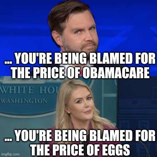 TFW | ... YOU'RE BEING BLAMED FOR
THE PRICE OF OBAMACARE; ... YOU'RE BEING BLAMED FOR
THE PRICE OF EGGS | image tagged in donald trump,crying democrats | made w/ Imgflip meme maker