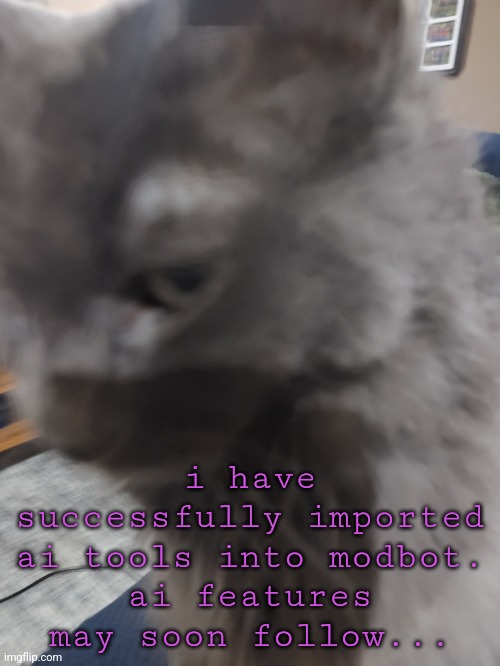 32's Cat | i have successfully imported ai tools into modbot.
ai features may soon follow... | image tagged in 32's cat | made w/ Imgflip meme maker