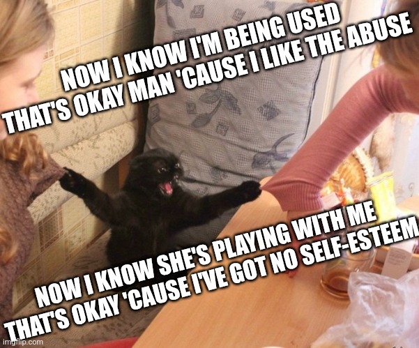 Angry black cat holds two girls sleeves with claws | NOW I KNOW I'M BEING USED
THAT'S OKAY MAN 'CAUSE I LIKE THE ABUSE NOW I KNOW SHE'S PLAYING WITH ME
THAT'S OKAY 'CAUSE I'VE GOT NO SELF-ESTEE | image tagged in angry black cat holds two girls sleeves with claws | made w/ Imgflip meme maker