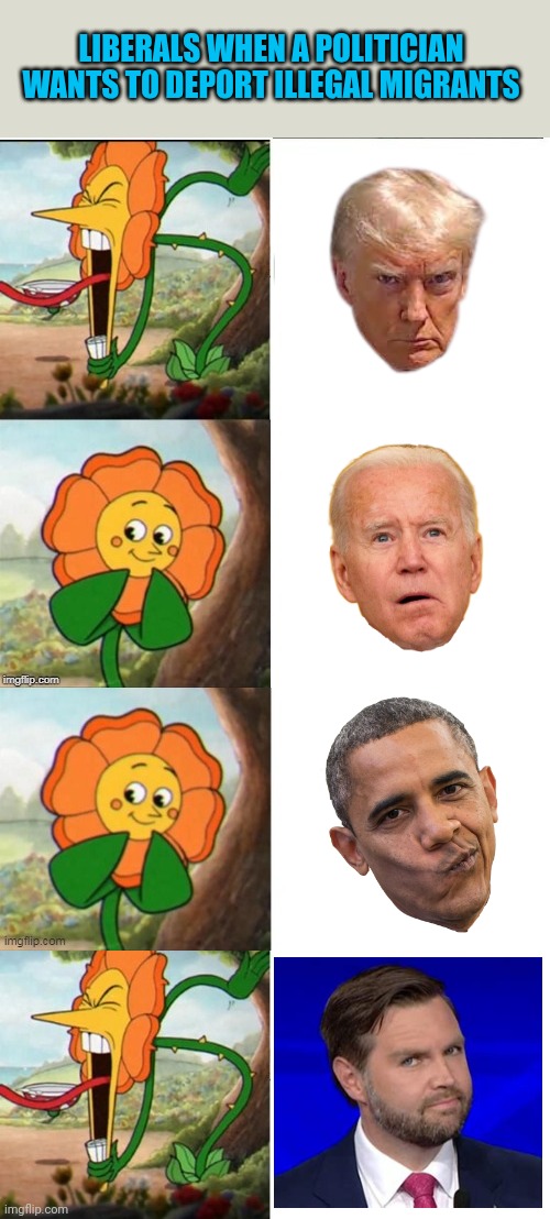 LIBERALS WHEN A POLITICIAN WANTS TO DEPORT ILLEGAL MIGRANTS | image tagged in yelling flower,sunflower | made w/ Imgflip meme maker