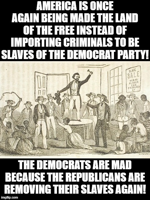 Democrats are mad again because Republicans removing their slaves! | AMERICA IS ONCE AGAIN BEING MADE THE LAND OF THE FREE INSTEAD OF IMPORTING CRIMINALS TO BE SLAVES OF THE DEMOCRAT PARTY! THE DEMOCRATS ARE MAD BECAUSE THE REPUBLICANS ARE REMOVING THEIR SLAVES AGAIN! | image tagged in stupid liberals,sam elliott special kind of stupid,slaves | made w/ Imgflip meme maker