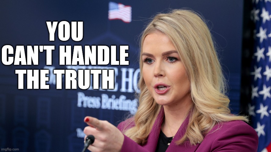 Karoline Leavitt | YOU CAN'T HANDLE THE TRUTH | image tagged in karoline leavitt scolding,lies are pies | made w/ Imgflip meme maker