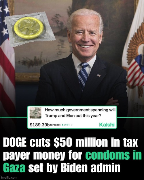 Dumb Democrats | image tagged in joe biden,dems,dumb | made w/ Imgflip meme maker