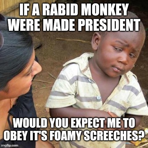 sceptical black kid | IF A RABID MONKEY WERE MADE PRESIDENT WOULD YOU EXPECT ME TO OBEY IT'S FOAMY SCREECHES? | image tagged in sceptical black kid | made w/ Imgflip meme maker