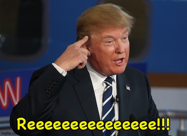 Donald Trump Pointing to His Head | Reeeeeeeeeeeeeee!!! | image tagged in donald trump pointing to his head | made w/ Imgflip meme maker