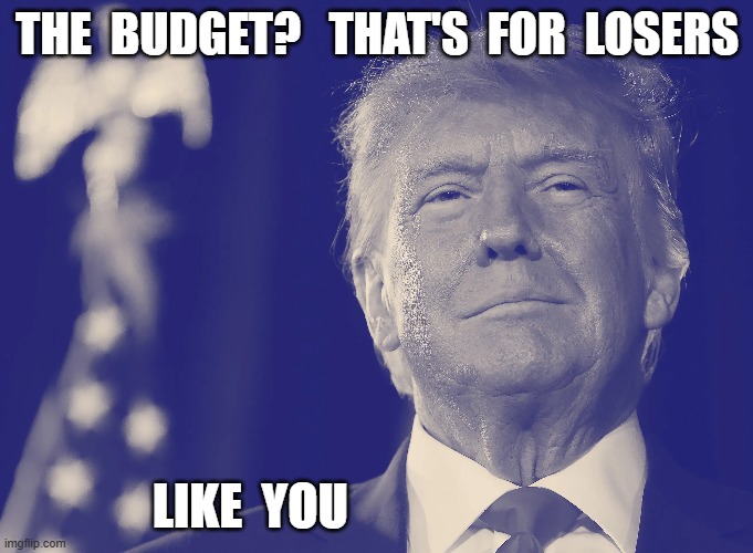 Disposable Income = Citizen | THE  BUDGET?   THAT'S  FOR  LOSERS; LIKE  YOU | image tagged in the donald | made w/ Imgflip meme maker