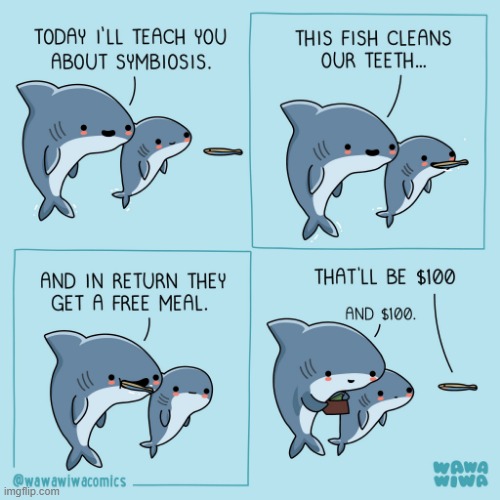 image tagged in sharks,fish,teeth,clean,meal,money | made w/ Imgflip meme maker