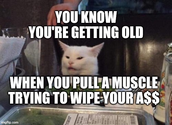 Smudge that darn cat | YOU KNOW YOU'RE GETTING OLD; WHEN YOU PULL A MUSCLE TRYING TO WIPE YOUR A$$ | image tagged in smudge that darn cat | made w/ Imgflip meme maker