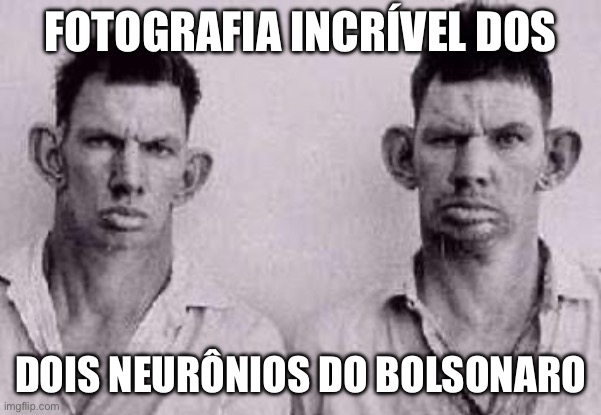 Os neuronios do bolsonaro | FOTOGRAFIA INCRÍVEL DOS; DOIS NEURÔNIOS DO BOLSONARO | image tagged in bomsonaro,extrema direita,conservadores,pl,golpe,bolsominion | made w/ Imgflip meme maker