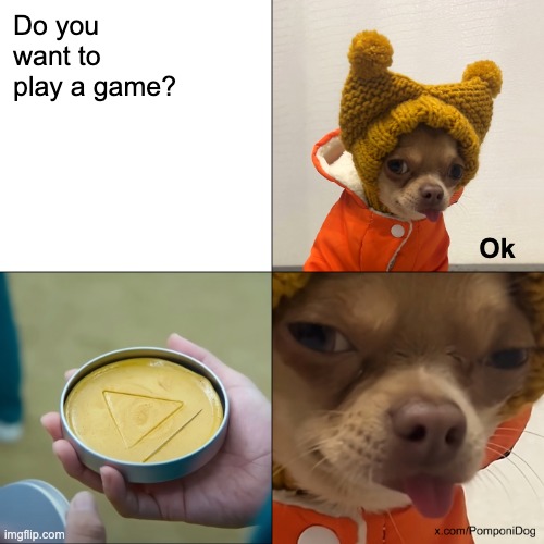 Pomponi the Dog | Do you want to play a game? Ok | image tagged in pomponi the dog,chihuahua,squid game,meme,pomponi,dog | made w/ Imgflip meme maker