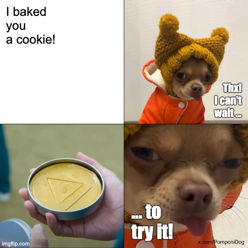 Pomponi the Dog | I baked you a cookie! Thx!
I can't wait ... ... to try it! | image tagged in pomponi the dog,pompon,cookie,squid game,meme,dog | made w/ Imgflip meme maker