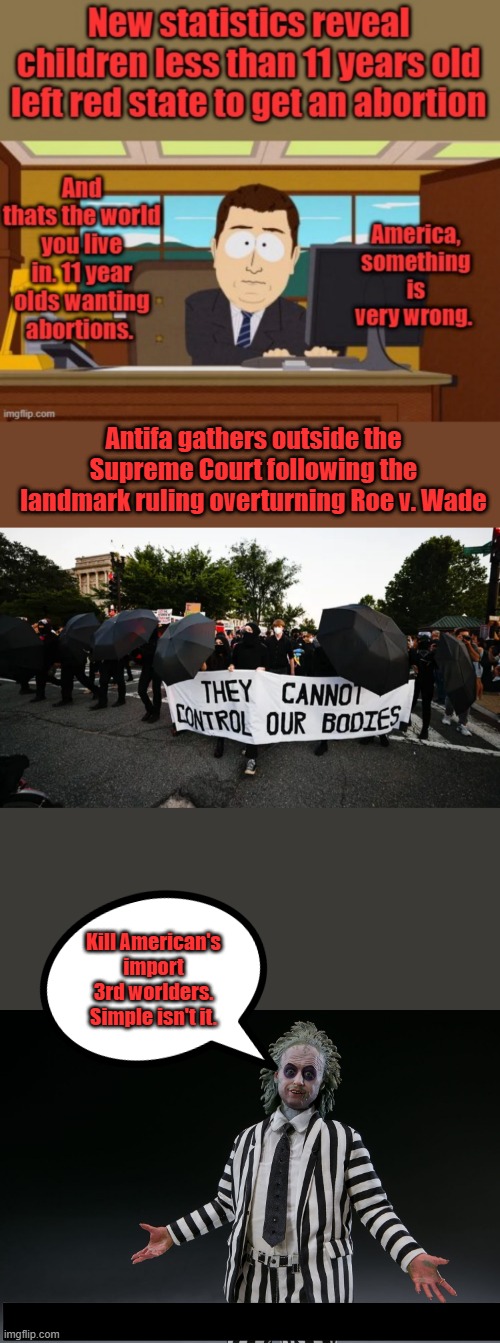 Destroy from within. | Antifa gathers outside the Supreme Court following the landmark ruling overturning Roe v. Wade; Kill American's import 3rd worlders. Simple isn't it. | made w/ Imgflip meme maker