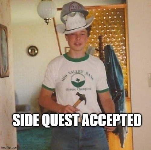 SIDE QUEST ACCEPTED | SIDE QUEST ACCEPTED | image tagged in funny memes,memes | made w/ Imgflip meme maker