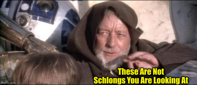 These Aren't The Droids You Were Looking For Meme | These Are Not Schlongs You Are Looking At | image tagged in memes,these aren't the droids you were looking for | made w/ Imgflip meme maker