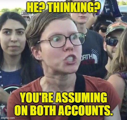 Triggered feminist | HE? THINKING? YOU'RE ASSUMING ON BOTH ACCOUNTS. | image tagged in triggered feminist | made w/ Imgflip meme maker