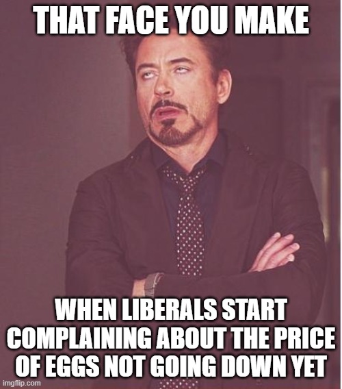 Hypocrite | THAT FACE YOU MAKE; WHEN LIBERALS START COMPLAINING ABOUT THE PRICE OF EGGS NOT GOING DOWN YET | image tagged in memes,face you make robert downey jr,price of eggs,hypocrite,libtards | made w/ Imgflip meme maker