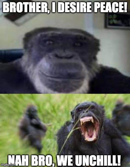 if you know you know! | BROTHER, I DESIRE PEACE! NAH BRO, WE UNCHILL! | image tagged in monke staring and smiling,angry monke,memes,funny,monke,brother may i have some oats | made w/ Imgflip meme maker